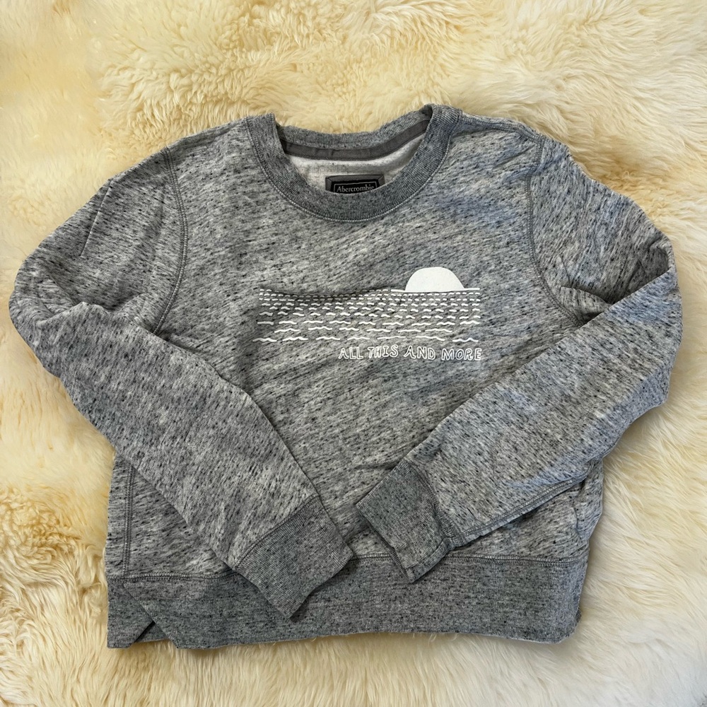 Abercrombie & Fitch Gray Sweatshirt